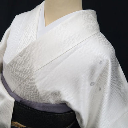 【新古品】tomihisa 新品 アートモダン 着物 正絹 仕付け糸付 トールサイズ 訪問着 7730
