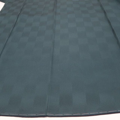【中古】tomihisa 美品 一乃倉 落款 着物 正絹 仕付け糸付 小紋 色無地 7873