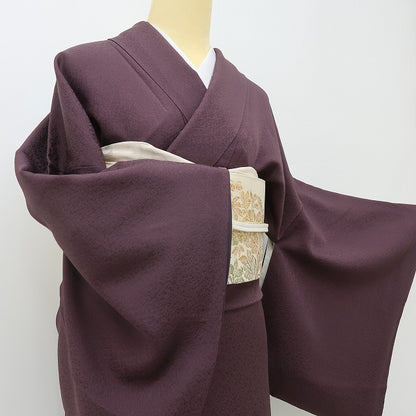 六花-RIKKA- 美品 正絹 耀編蝋纈 一乃倉 視線を奪う、夕暮れ時の幻想☆ トール・ワイドサイズ 付下げ 着物 A5961