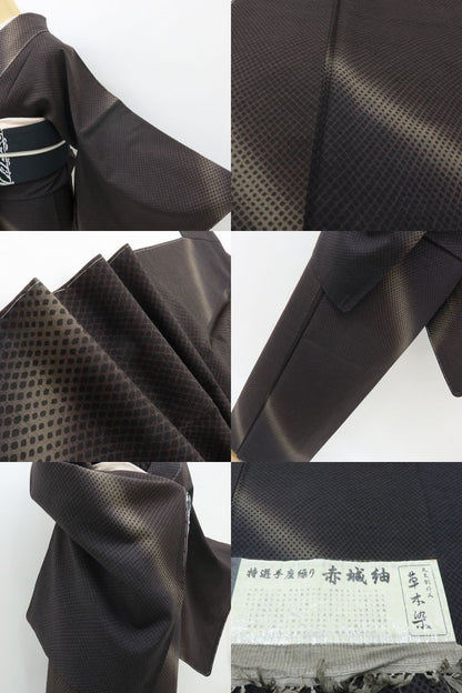 六花-RIKKA- 新品 正絹 証紙付 草木染 トールサイズ 赤城紬 静かに見えて、粋を奏でるハンサムな紬♪ 着物 A6022