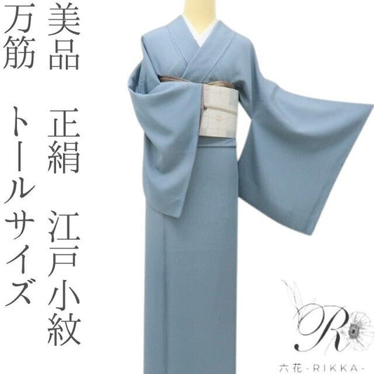 六花-RIKKA- 美品 正絹 万筋 トールサイズ 遠くで品よく、近くでハッと！ 江戸小紋 着物 A6083
