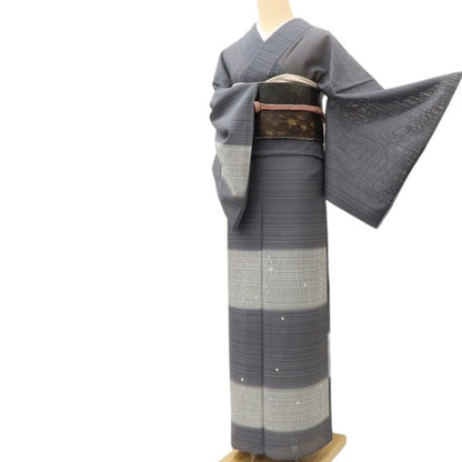 百華 Y5508 美品 夏着物 銀駒刺繍 変則絽 正絹 手縫い仕立て 訪問着